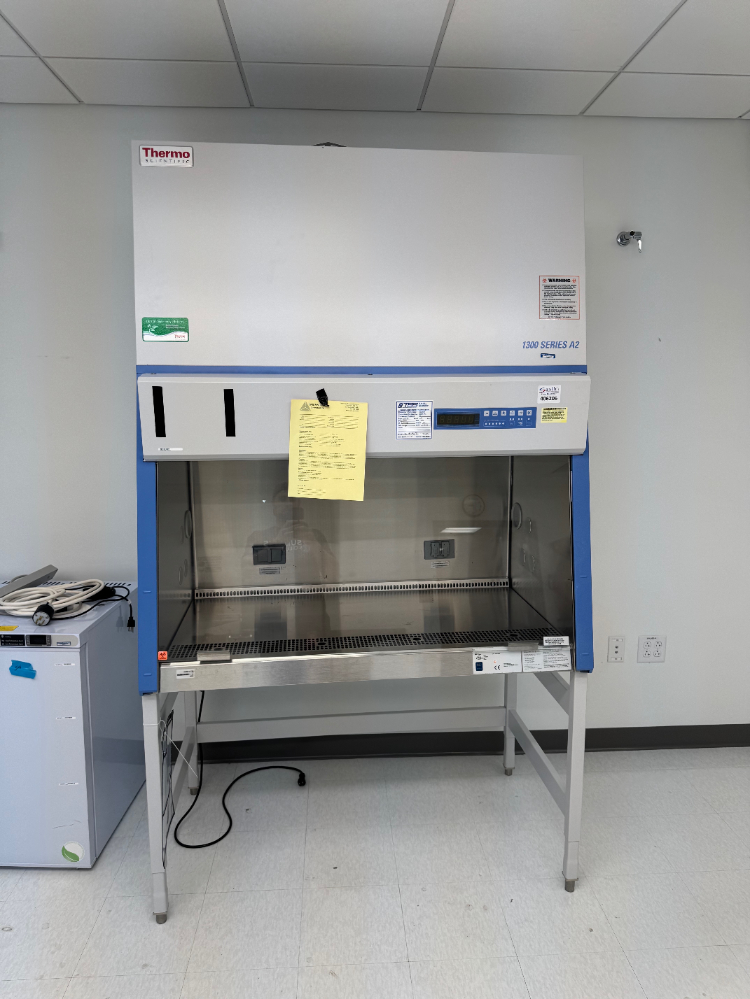 Image of Thermo 1300 Series A2 4' BioSafety Cabinet